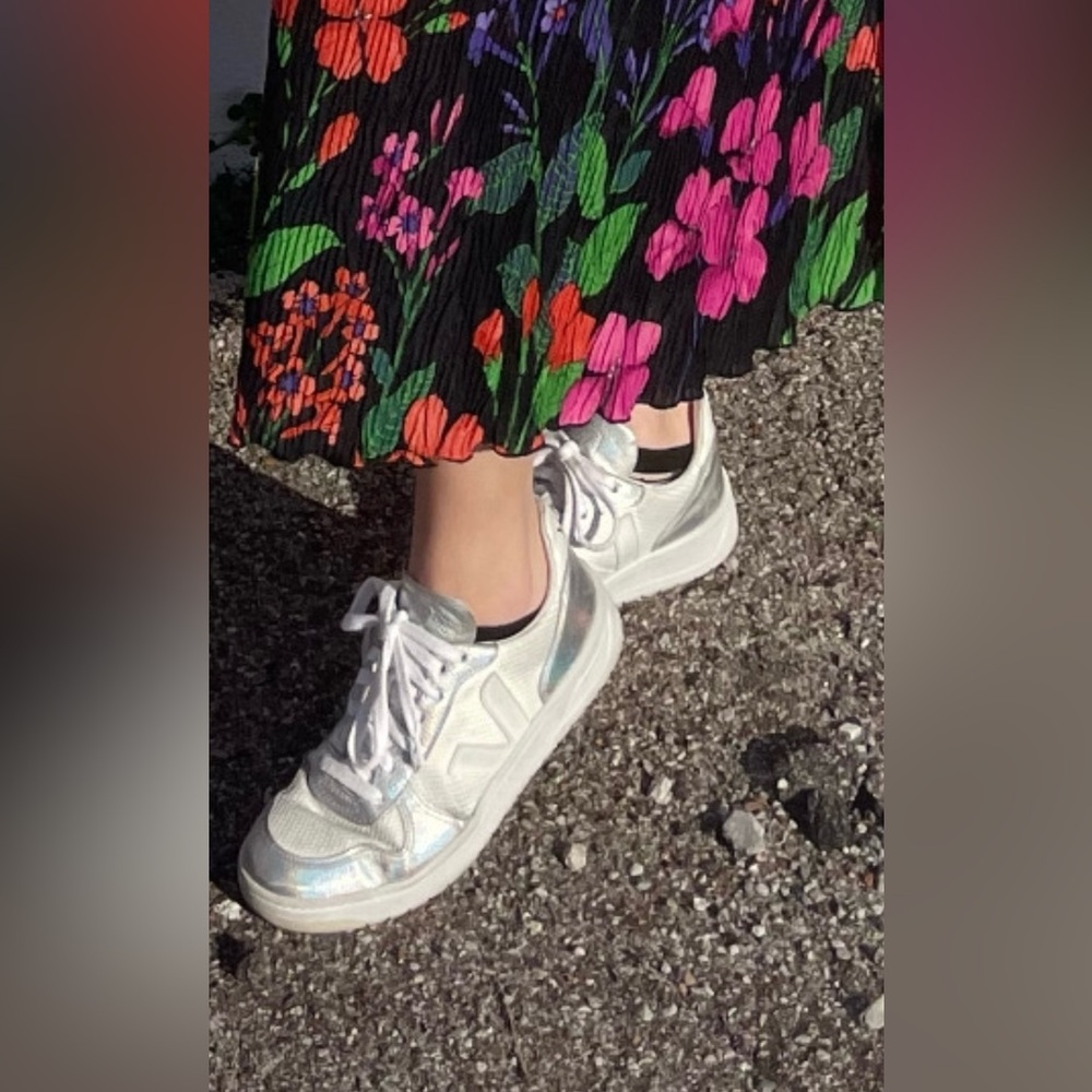 Silver Vejas - image 1